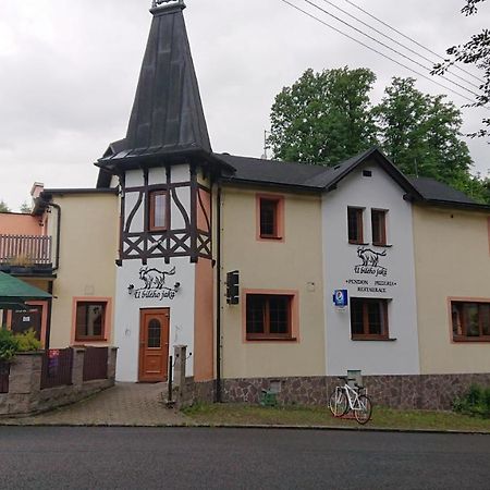 Penzion U bílého jaka Vilemov  Exteriér fotografie